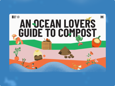 Ocean Lovers Guide to Compost